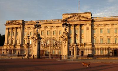 Man arrested over trespass at Buckingham Palace stables