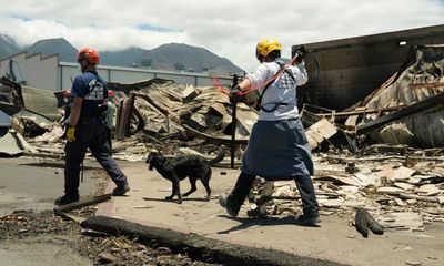 ‘You can’t unsee it’: the mental toll of Maui fires on search-and-recovery teams