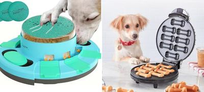 Bougie things for your dog that are actually bargains