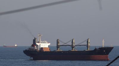 First two cargo ships arrive in Ukrainian port since Moscow’s exit from grain deal