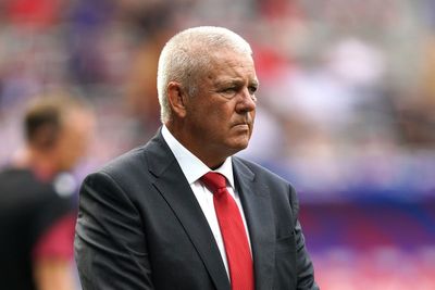 Warren Gatland favours a 24-nation Rugby World Cup to help grow the game