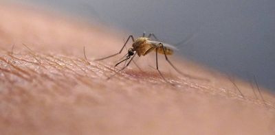 What Canadians need to know about West Nile virus, a mosquito-borne infection that can be life-threatening