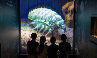 ‘4,700 species’: Portsmouth exhibition celebrates HMS Challenger’s deep-sea discoveries