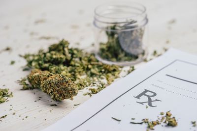 The complexity of cannabis and autism