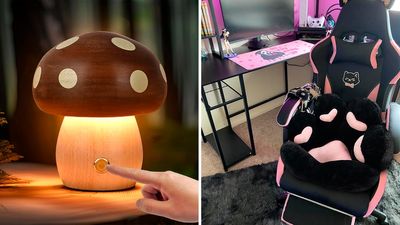 65 weird, cheap things that are actually so dope