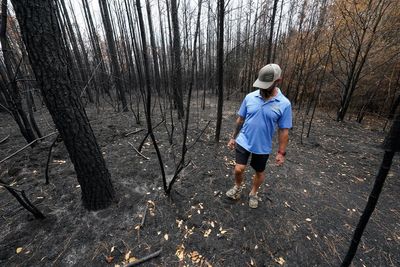 In a state used to hurricanes and flooding, Louisiana is battling an unprecedented wildfire season