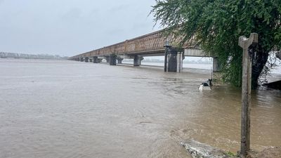 Mumbai-Ahmedabad train traffic hit as Narmada river crosses danger mark in Gujarat; passengers stranded