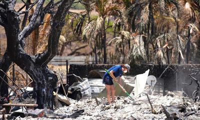 Hawaii fires: number of fatalities drops to 97 as DNA tests help identify victims