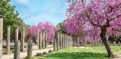 What ancient Greek stories of humans transformed into plants can teach us about fragility and resilience