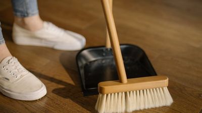 How Many Days Per Year Do Americans Clean And Sanitize Their Homes?