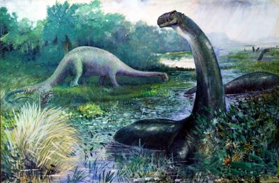 A brontosaurus: we are willing to forgive this colossal dinosaur its tiny head