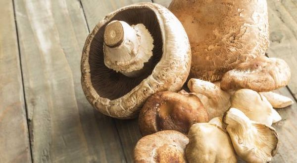 Owner of Irish mushroom company blames Brexit for closure which puts 70 people out of work