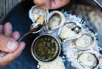 "Flesh eating bacteria" hides in oysters