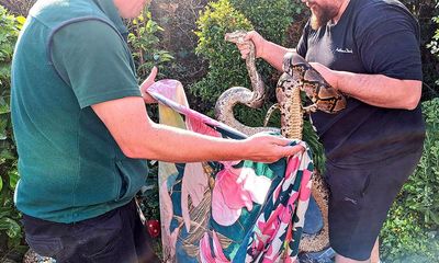 Hampshire man attacked by 11ft python that crept into his conservatory