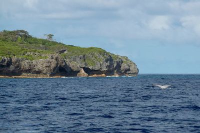 Sponsor an ocean? Tiny island nation of Niue has a novel plan to protect its slice of the Pacific