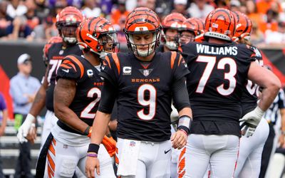 Bengals dialed back playbook to prevent Joe Burrow re-injury