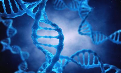 Google DeepMind AI tool assesses DNA mutations for harm potential