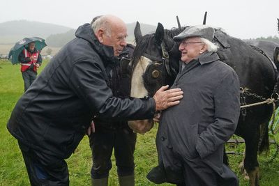 Irish president suggests climate changes ‘not as simple’ as giving up meat