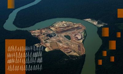 Revealed: top carbon offset projects may not cut planet-heating emissions