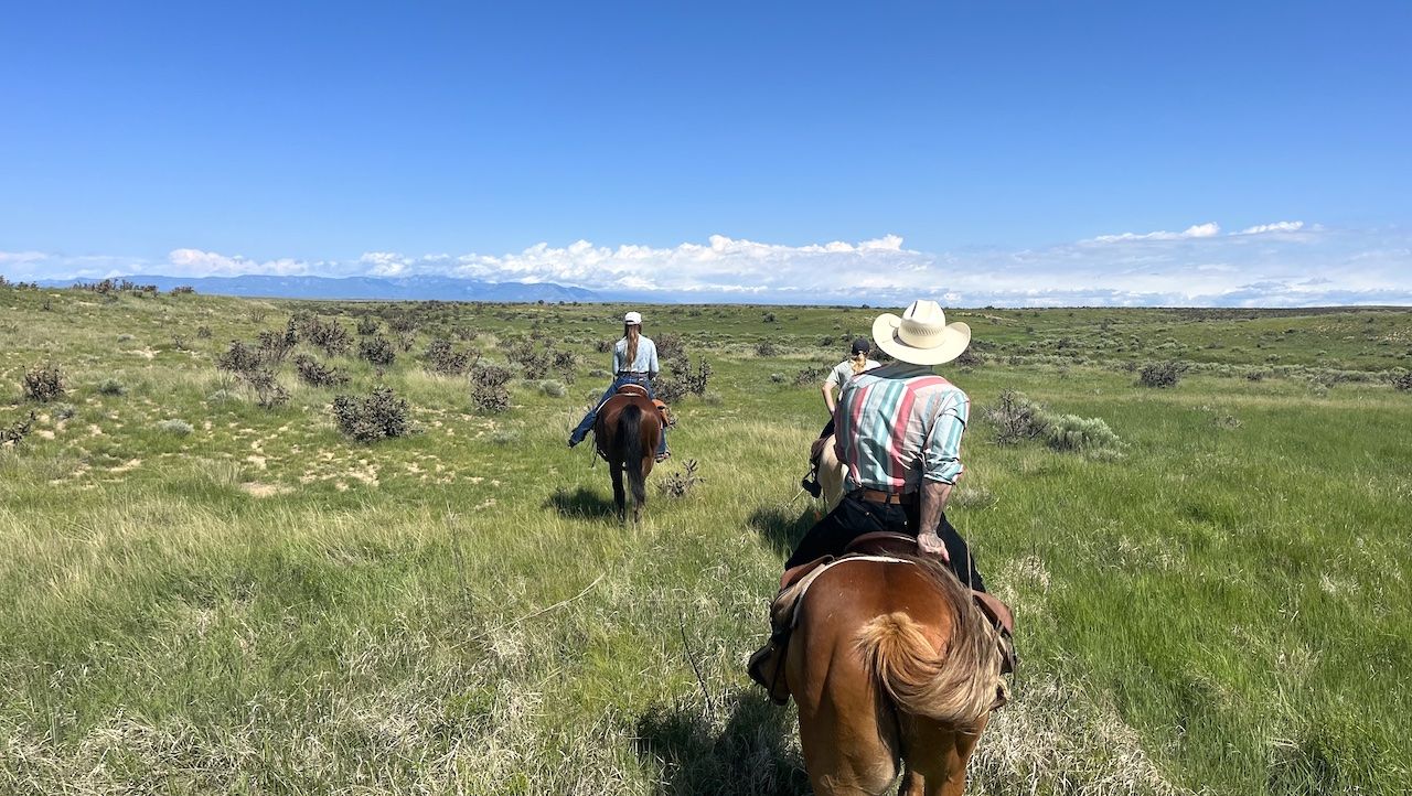 Kevin Costner Traded Yellowstone For Draft Day Vibes When Visiting