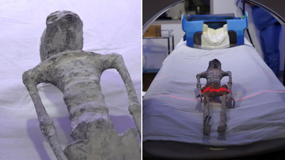 1000-year-old ‘alien corpses’ are from single skeletons and not assembled, claim Mexican doctors