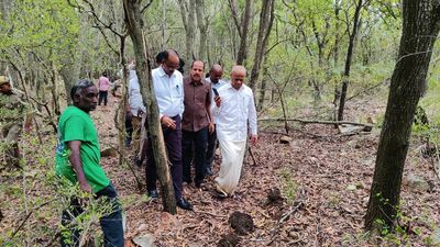 Sixth leopard captured on Alipiri-Tirumala footpath in Andhra Pradesh