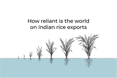 How reliant is the world on Indian rice exports?