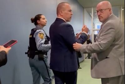 UN Police Detain Israeli Ambassador