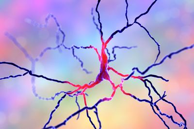 Dopamine is often oversimplified