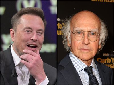 Larry David confronted Elon Musk at a wedding over Republican vote: ‘Do you just want to murder kids in schools?’