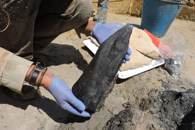 Proof of Stone Age humans building wooden structures uncovered by archaeologists