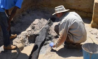 ‘Oldest wooden structure’ discovered on border of Zambia and Tanzania