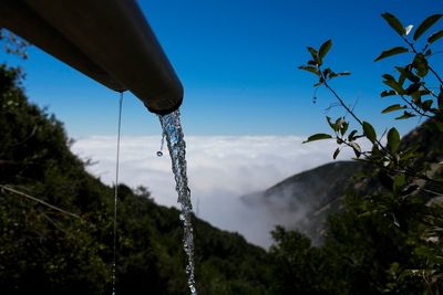 California orders bottled water company to stop taking millions of gallons from springs on public land