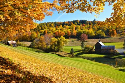 Vermont town temporarily shuts down after too many influencers showed up to take fall foliage photos