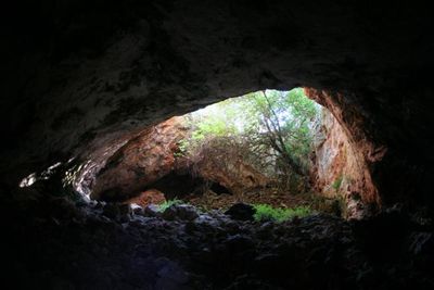 Cup made from ancient human skull discovered in Spanish cave