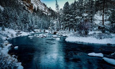 The Vaster Wilds by Lauren Groff review – a survival story