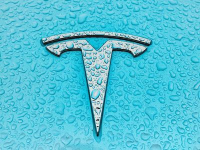 Tesla’s Giga Texas Factory Hit By Production Pause, Quarter-End Push In Jeopardy