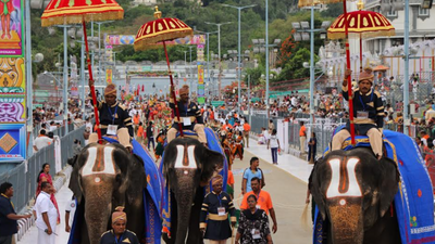Lord Malayappa Swamy showers boons on the devotees from the Kalpavriksha