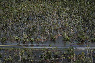 Florida agriculture losses between $78M and $371M from Hurricane Idalia, preliminary estimate says