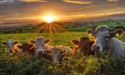 Farmers like me can contribute to a hedge fund for nature at little cost to themselves