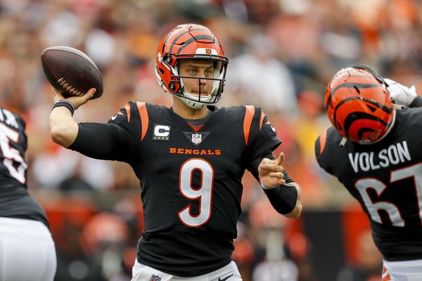 Bengals betting odds tanking due to Joe Burrow's injury