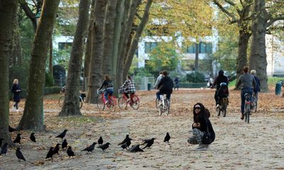 Why a Belgian insurer studies the impact of air pollution on health