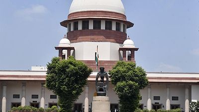 Supreme Court rejects pleas to include barium, allow joint firecrackers in Delhi
