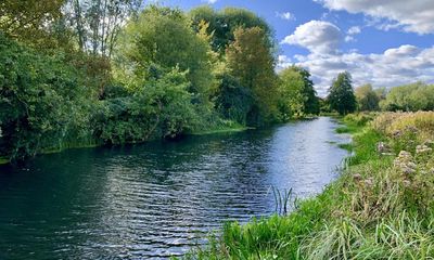 Bee-killing pesticides banned in EU found at unsafe levels in English rivers