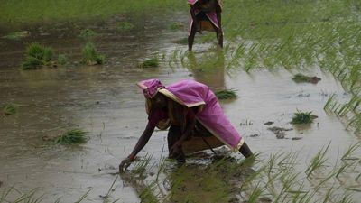 No cyclone forecast in Odisha, do not believe in rumours, says IMD DG Mohapatra