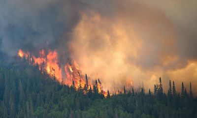 Wildfires turn Canada’s vast forests from carbon sink into super-emitter