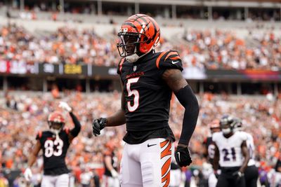 Bengals WR Tee Higgins offers thoughts on Joe Burrow’s injury