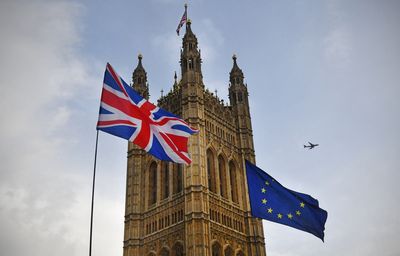 Anti-Brexit campaigners to descend on Westminster for ‘rejoin the EU’ protest