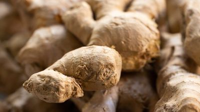 Ginger Supplementation Shows Promise In Controlling Inflammation For Autoimmune Diseases