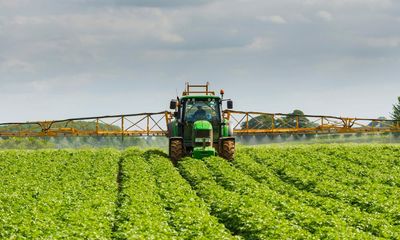 Post-Brexit pesticide rules put safety first